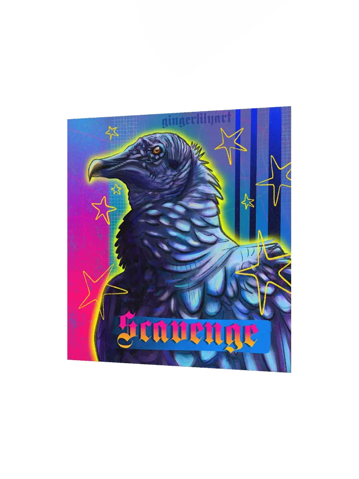 black vulture product image (3)