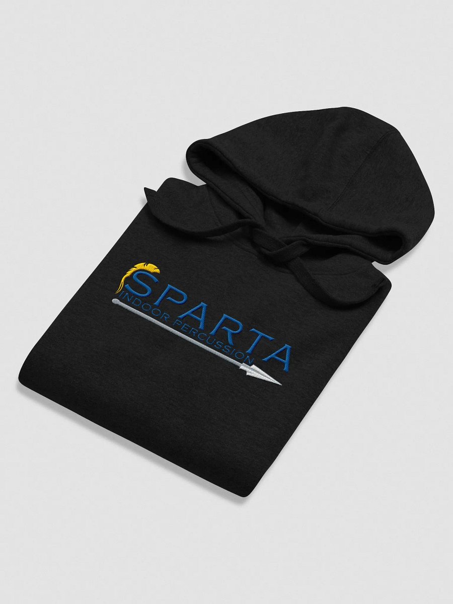 SIP Embroidered Hoodie product image (16)
