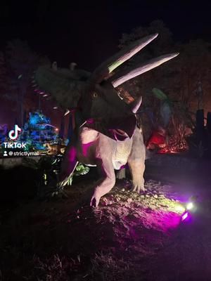 I miss it so much already! #lostlands #lostlands2024 