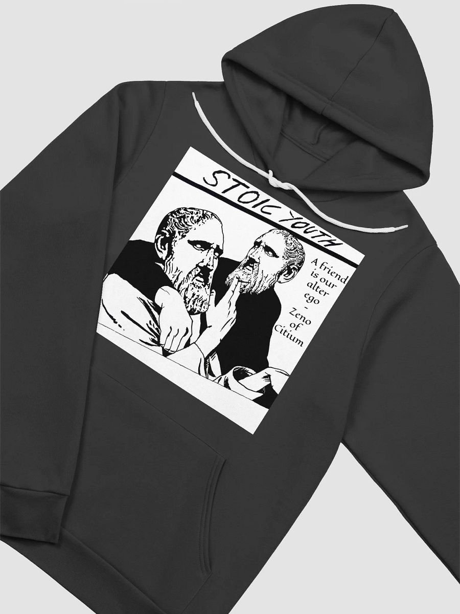 Stoic Youth Zeno of Citium quote Bella+Canvas Supersoft Hoodie product image (3)