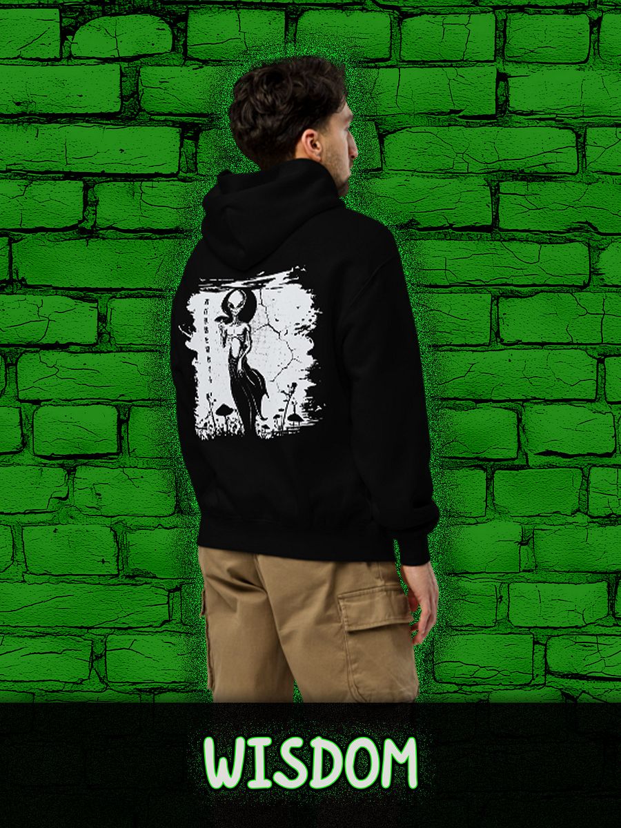 WISDOM Unisex Premium Oversized Hoodie product image (3)