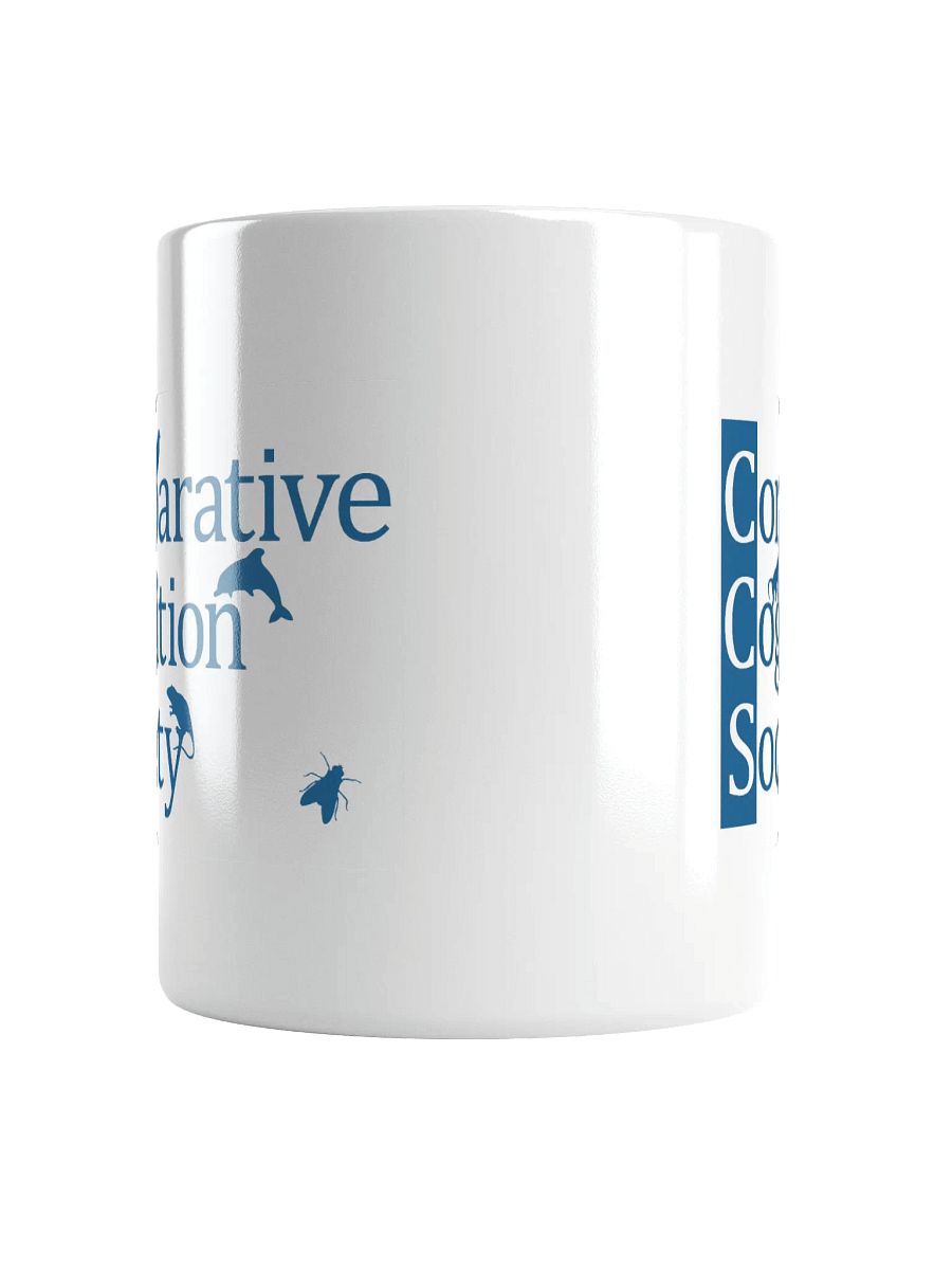 CCS mug product image (14)