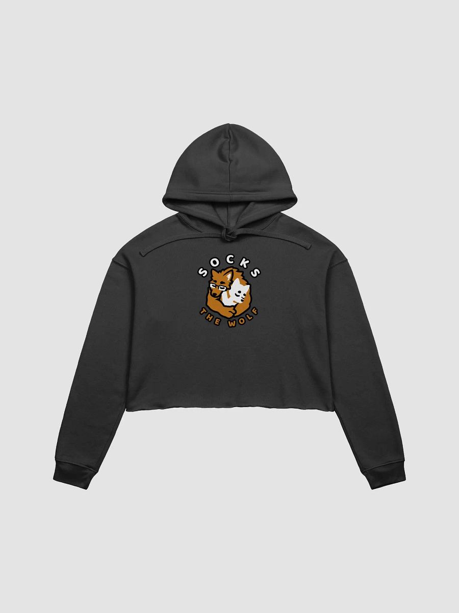 CropTop Hoodie product image (1)