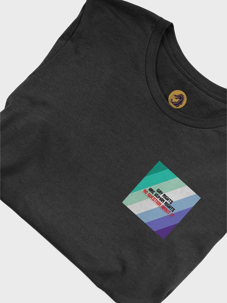 Gay Rights T-Shirt product image (5)