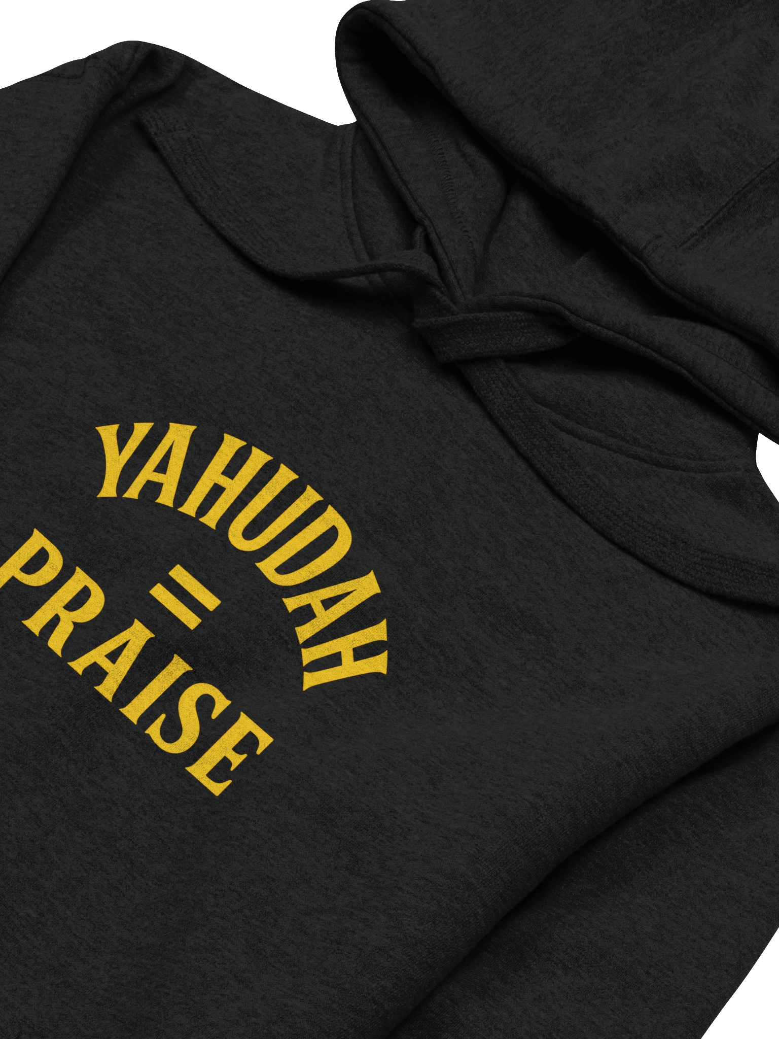 YAHUDAH = PRAISE Premium Hoodie product image (14)