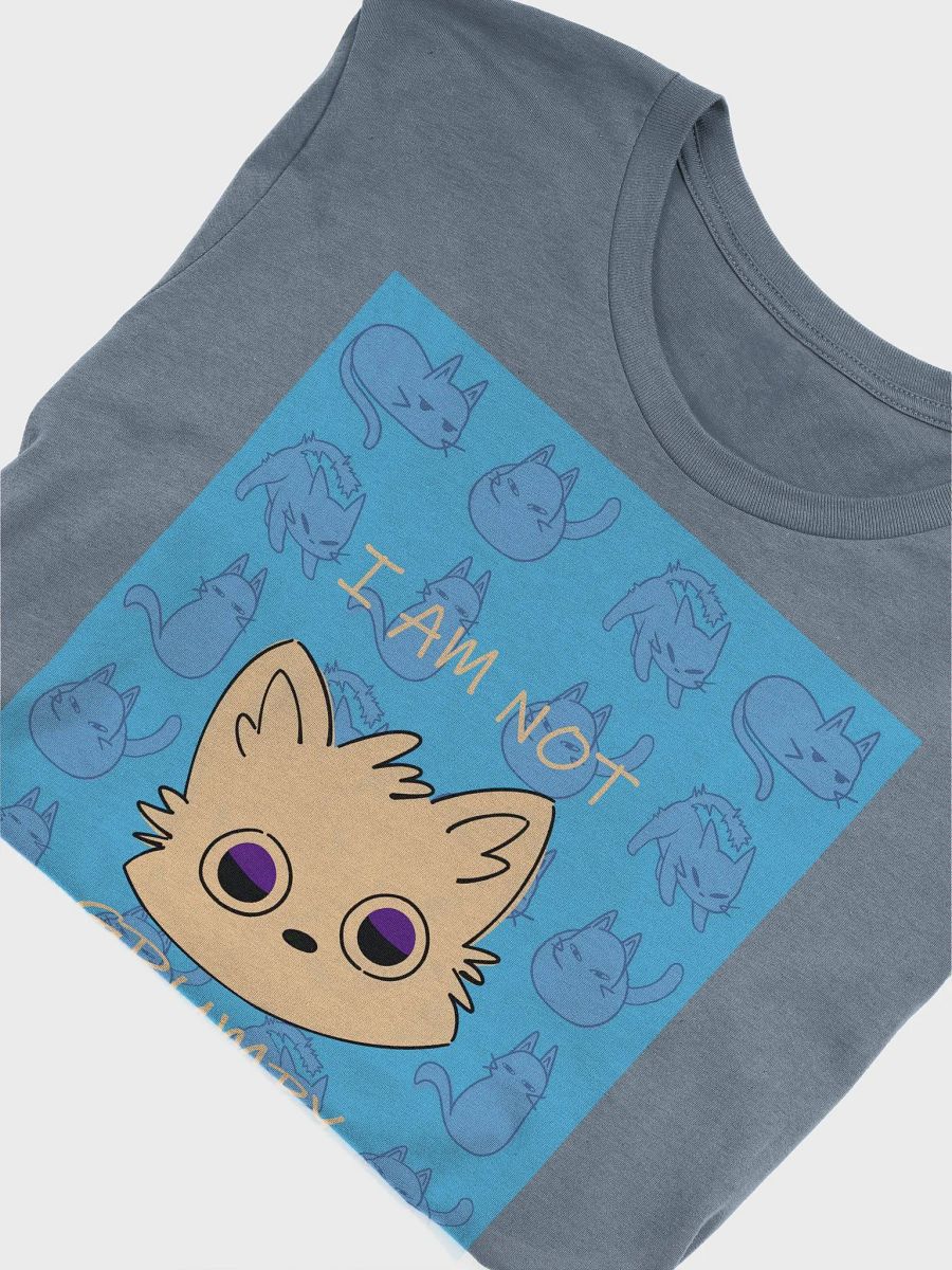 The (NOT) GRUMPY Bella Canvas T-Shirt product image (5)