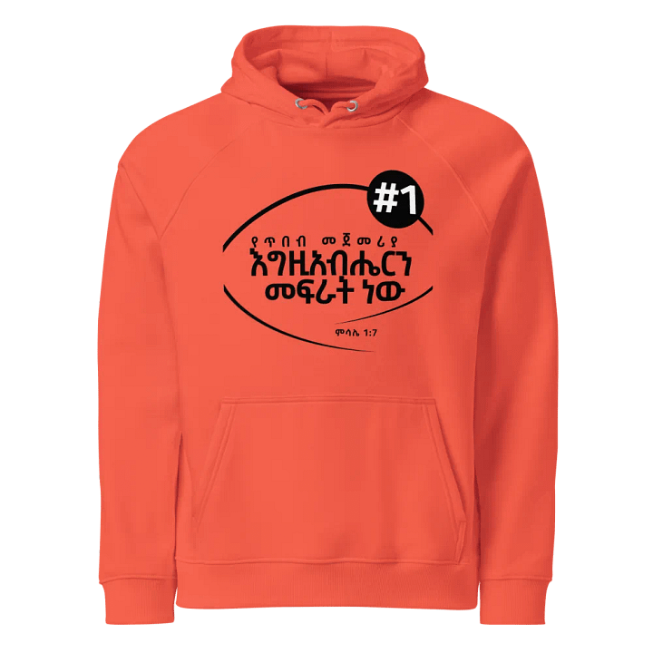 'Proverbs 1:7' Hoodie product image (1)