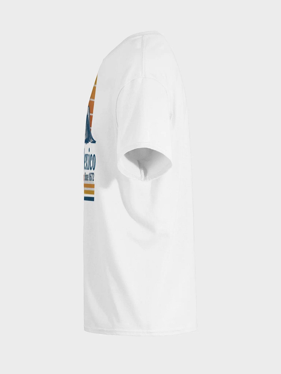 Beach Gulf of Mexico T-shirt product image (19)