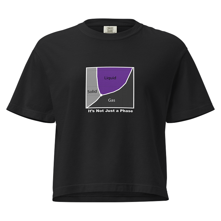 It's Not Just a Phase- Ace Shirt product image (1)