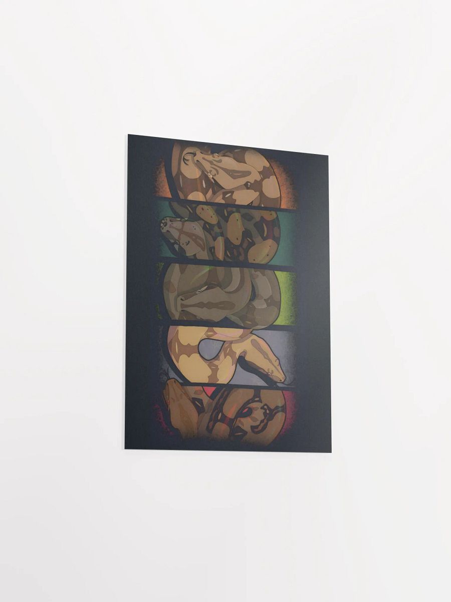 Locality Boas product image (24)