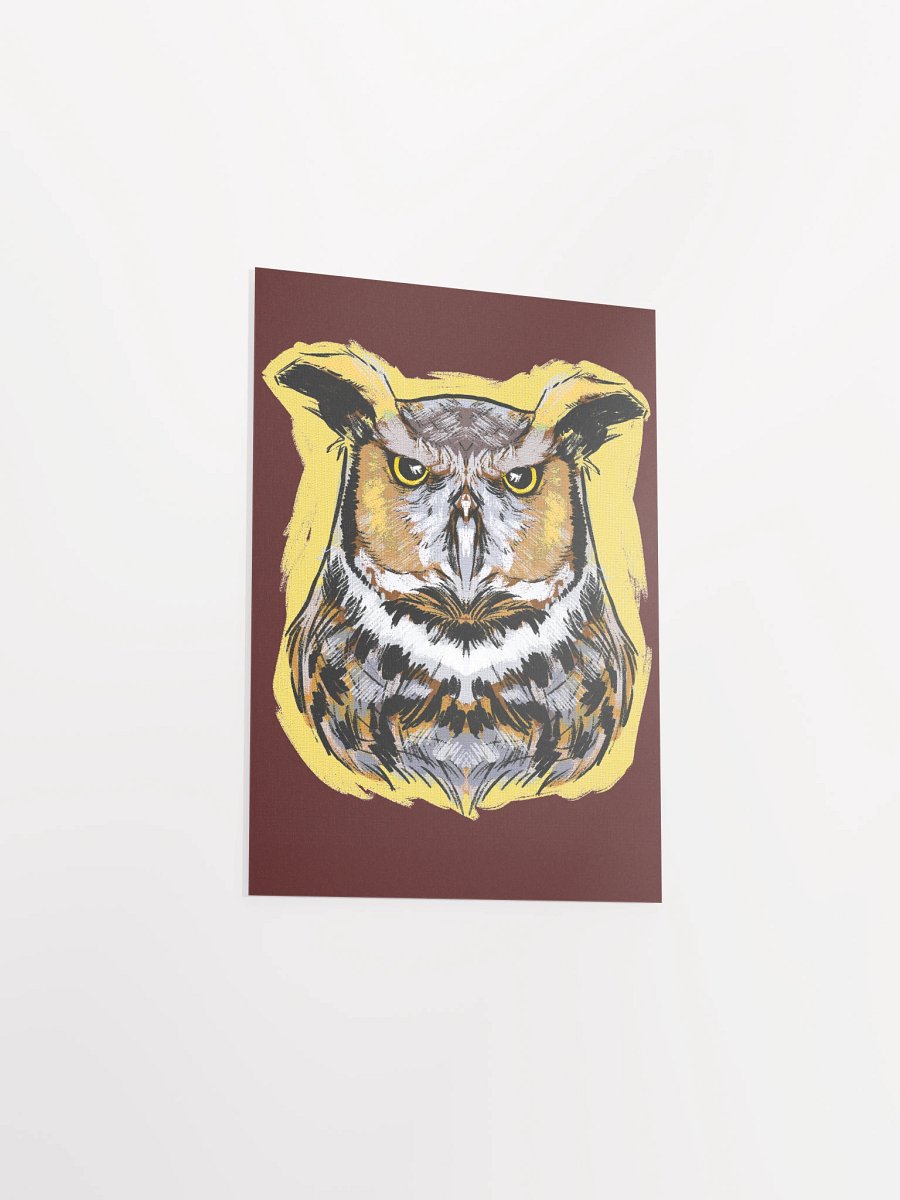 Barn Owl product image (9)