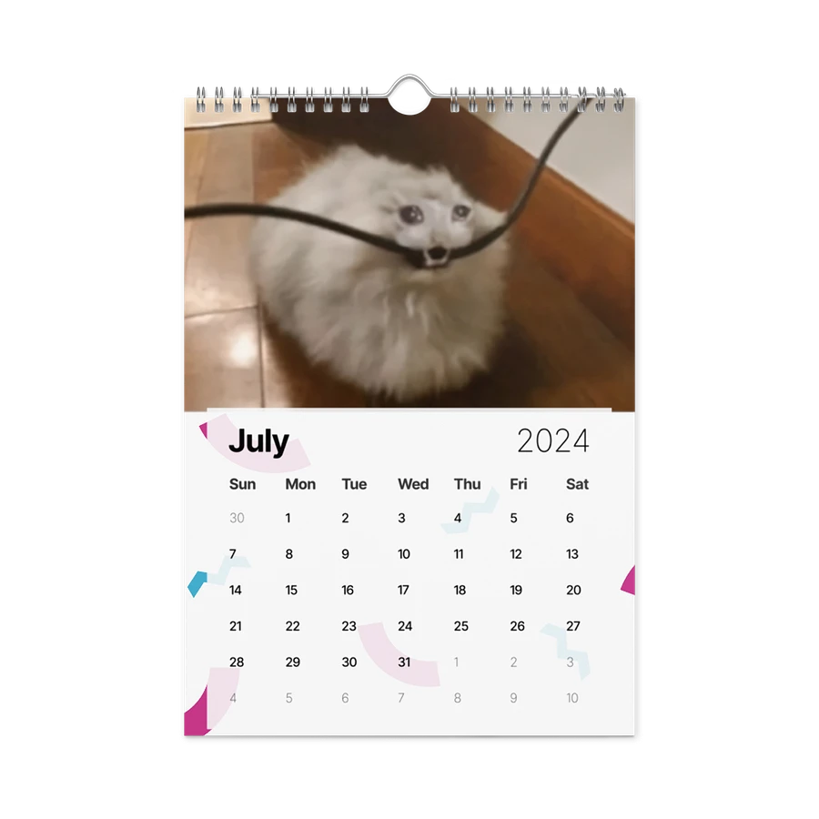 Wall Calendar (2024): Meme Cats product image (10)