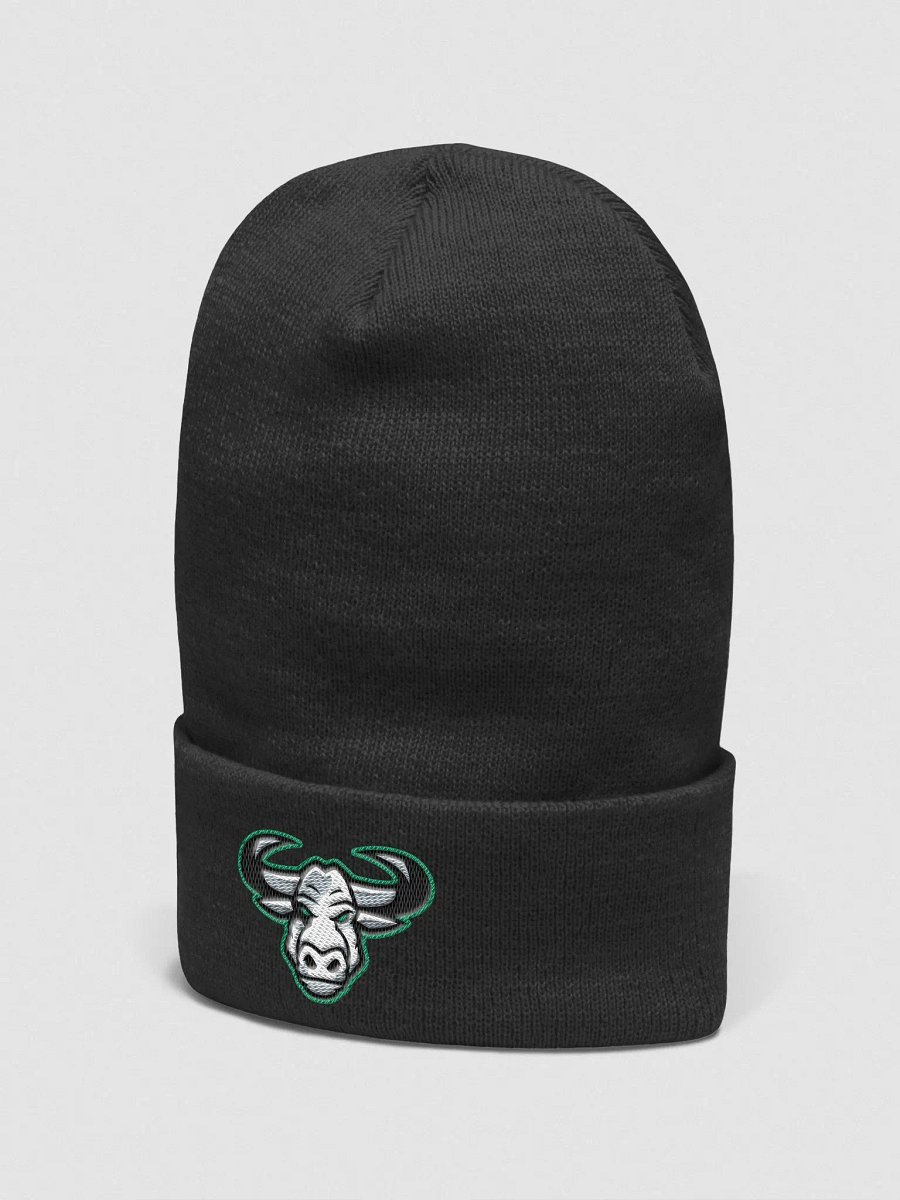 Beanie product image (2)