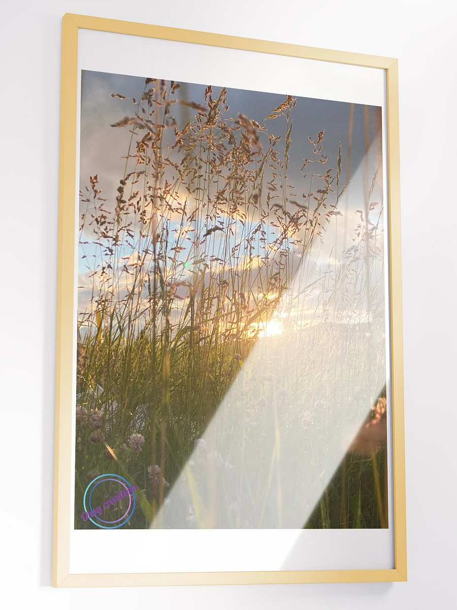 Looking Through the grass product image (2)