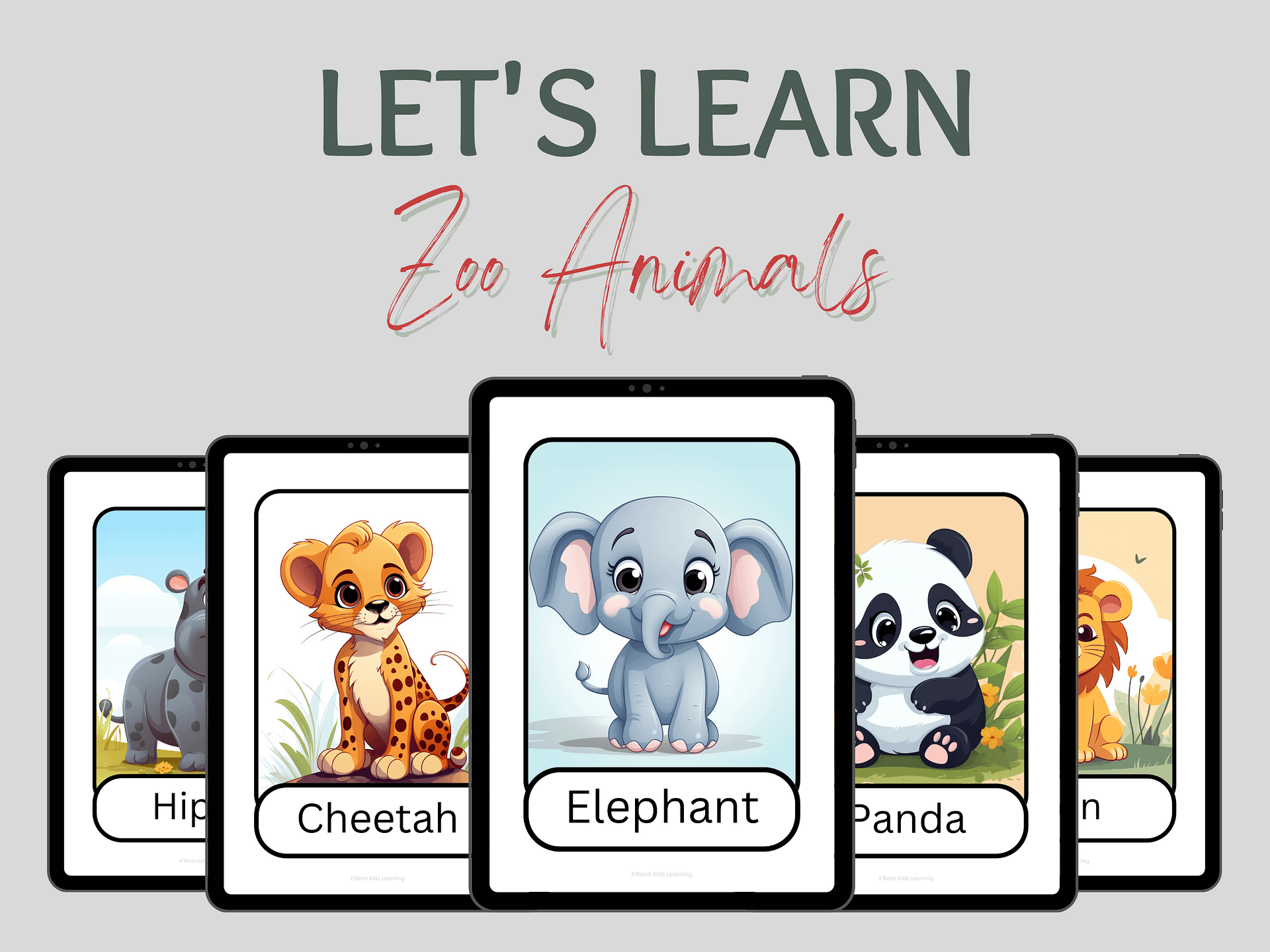 Digital Zoo Animals Flash Cards product image (2)