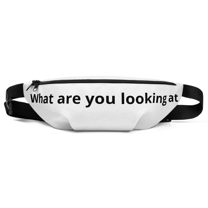Fanny pack product image (1)