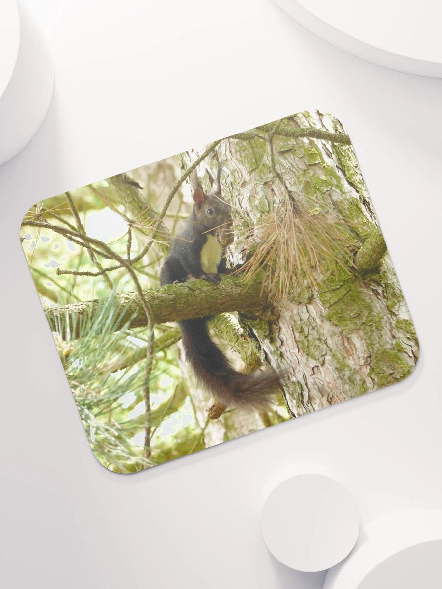 Classic Mouse Pad - The Eurasian red squirrel product image (7)