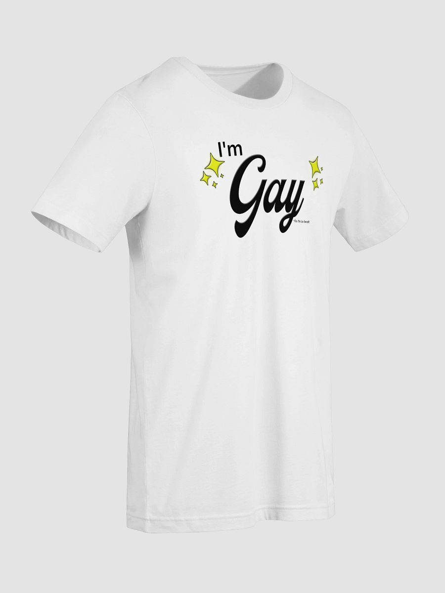 I'm Gay (for the tax benefit) Charity Tee product image (9)