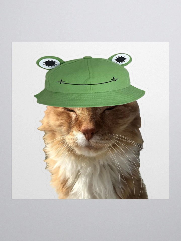 Froggy Boy Sticker product image (1)