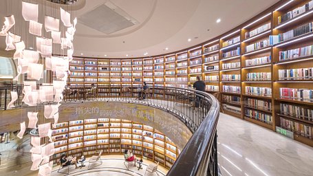 💼 Tier 3 – The Publisher’s Circle