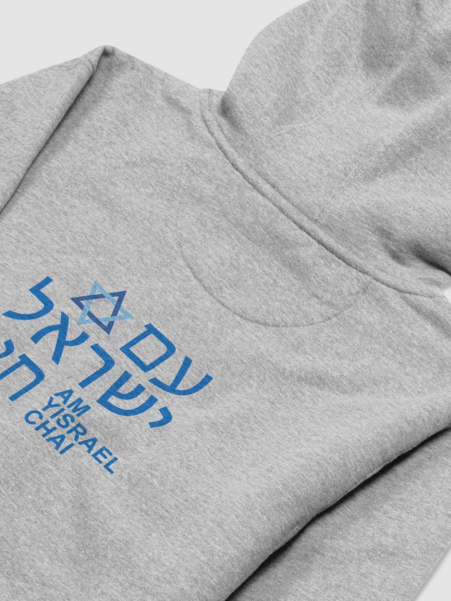 AM YISRAEL CHAI Premium Hoodie product image (26)