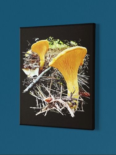 Chanterelles 16x20 inch Canvas Print product image (1)
