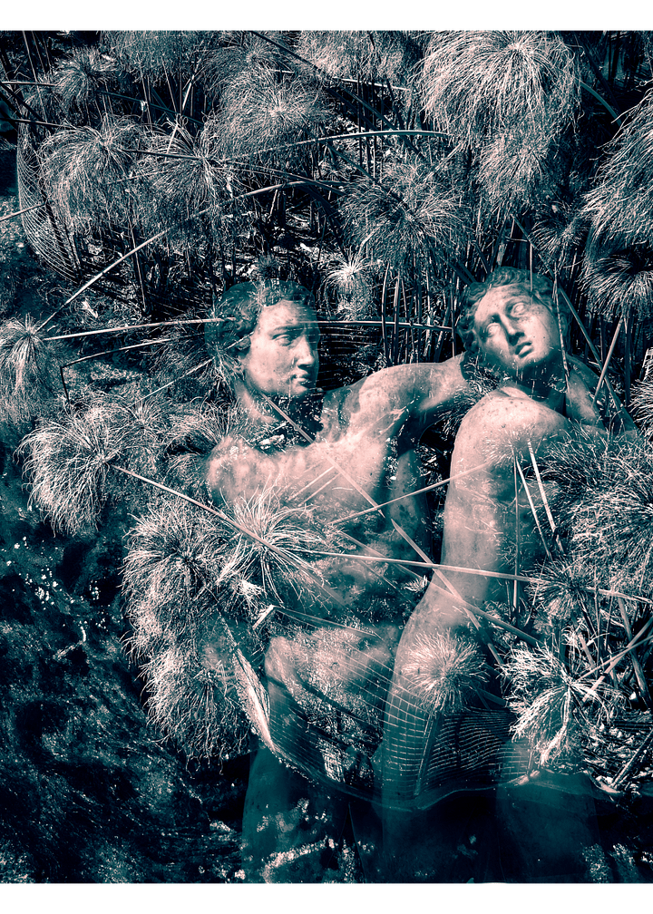 Sicilian Nymph - Print product image (1)