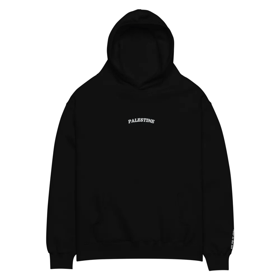 Palestine (From The River To The Sea) Oversized Hoodie product image (3)