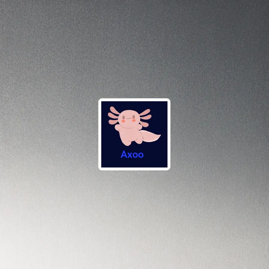 aimant AXOO product image (4)