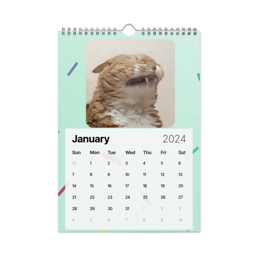 Wall Calendar (2024): Meme Cats product image (8)