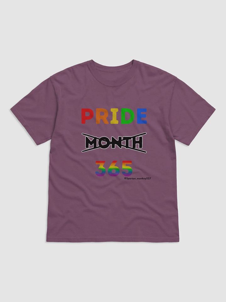 Pride 365 Tee product image (6)