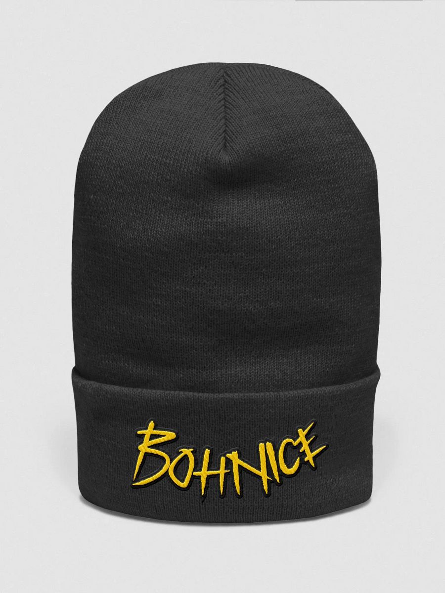 BOHNICE BEANIE product image (1)