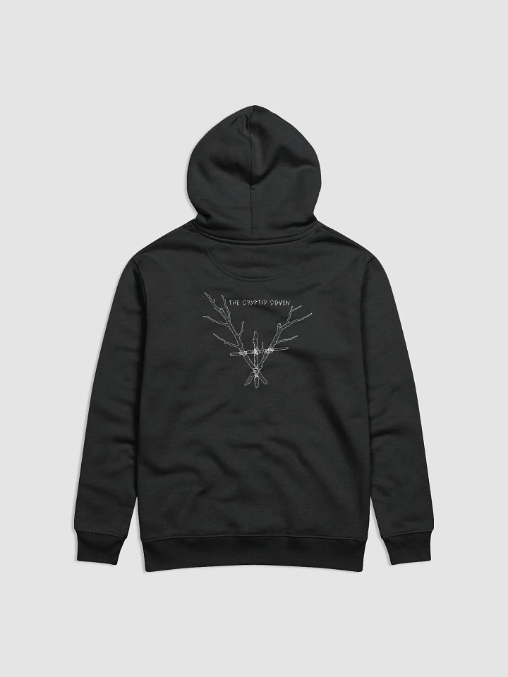 Blood Sigil Eco Hoodie product image (2)