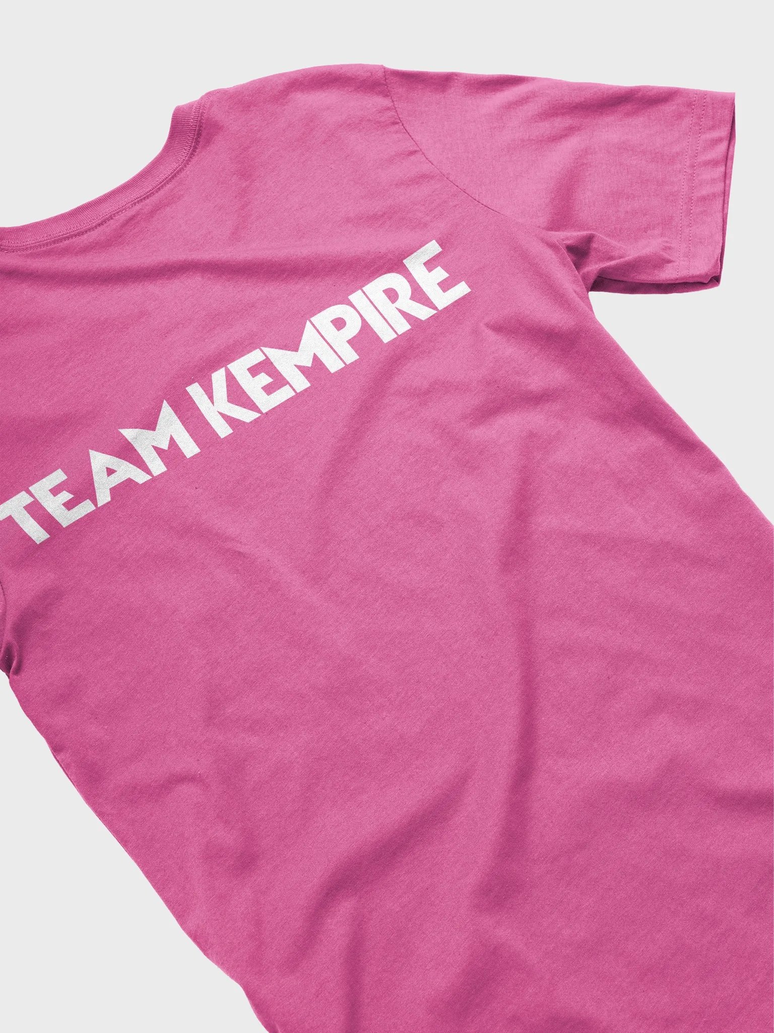 TWERKIN ON A FENCE - TEE product image (44)