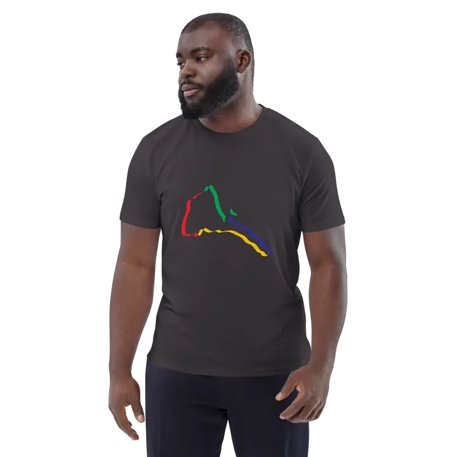 Chromatic Lines Organic Cotton T-Shirt product image (137)