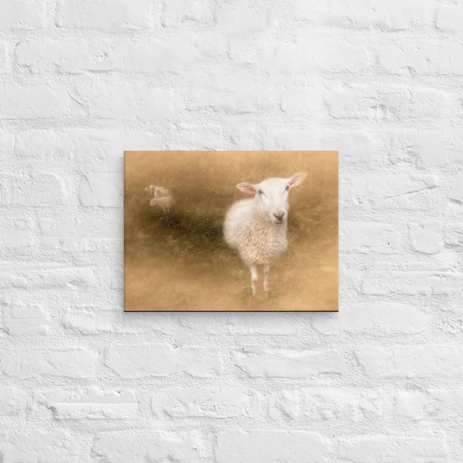 Pastoral Sheep Canvas product image (12)