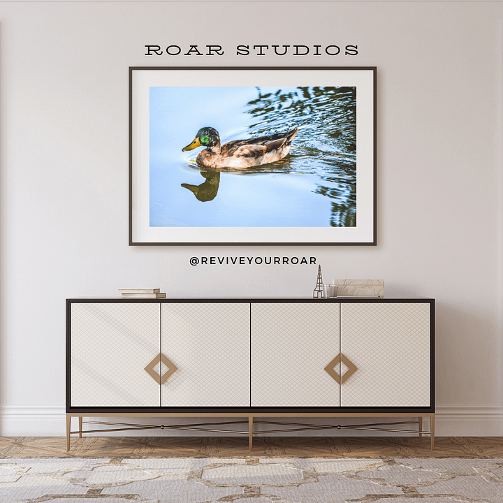 Derek Daniel Dax Doris the Duck product image (1)