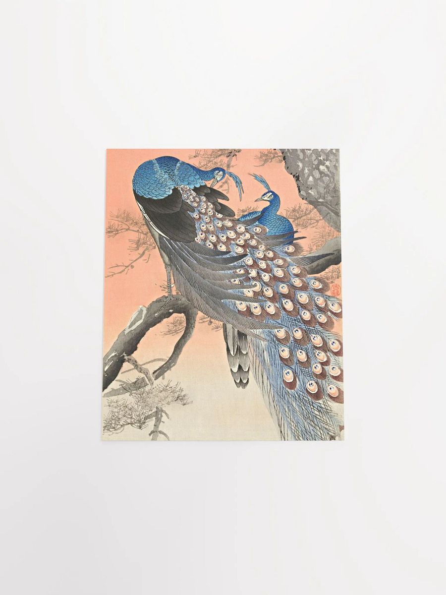 Two Peacocks on Tree Branch (1900 - 1930) by Ohara Koson product image (9)