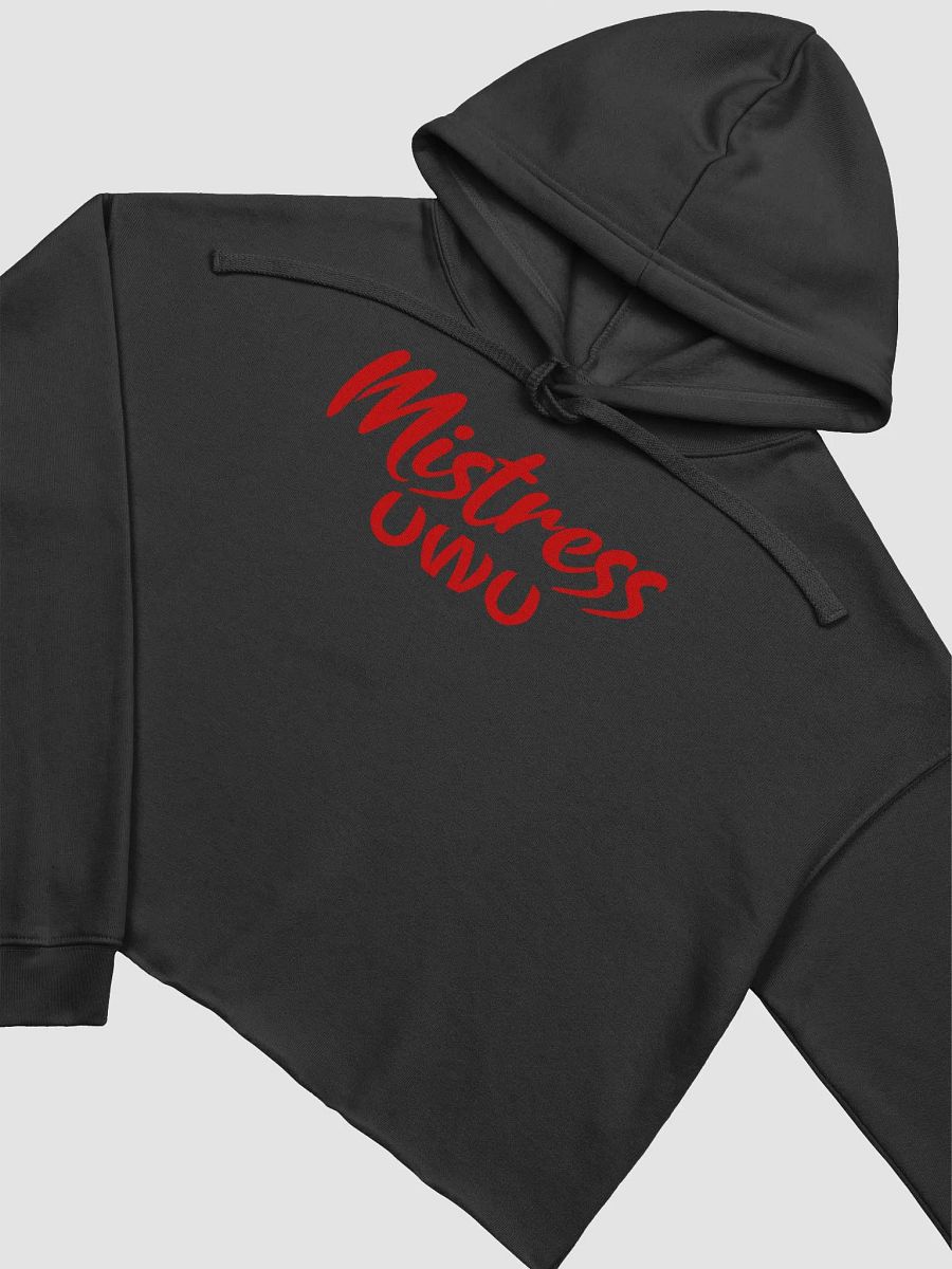 Mistress UWU Crop Hoodie product image (10)