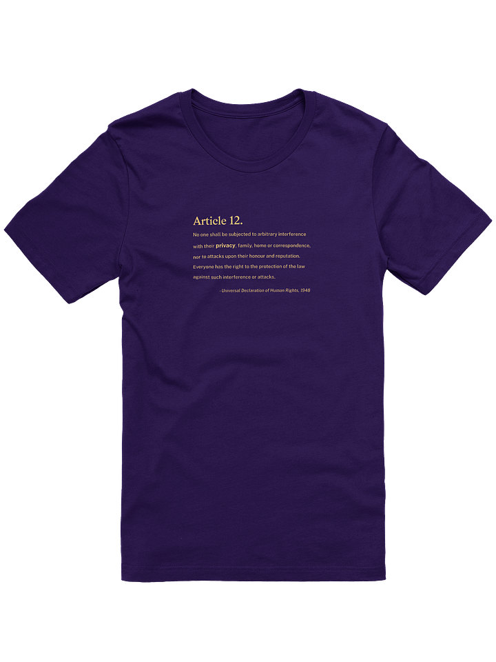 Article 12 - Supersoft T-Shirt (Bella+Canvas) product image (1)