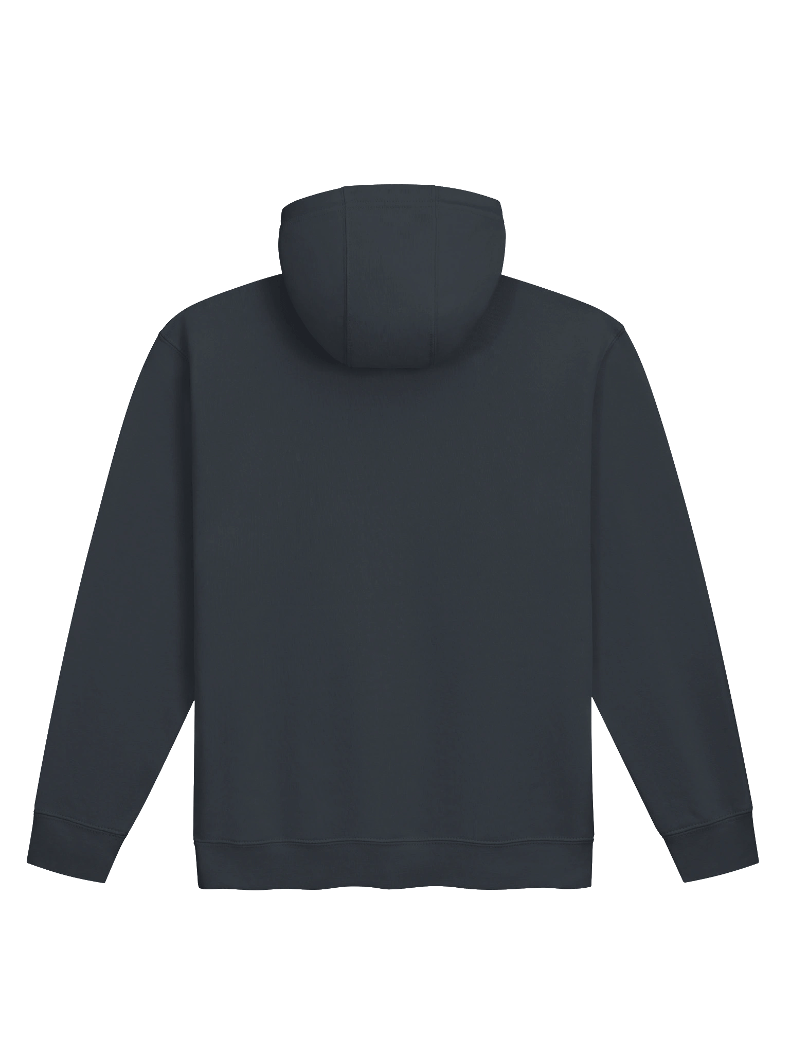 Hoodie with 2025 Logo product image (10)