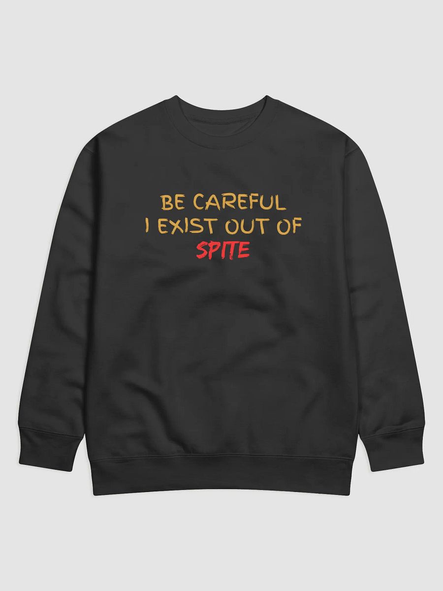 Be Careful I exist Out of Spite Premium Sweatshirt product image (2)