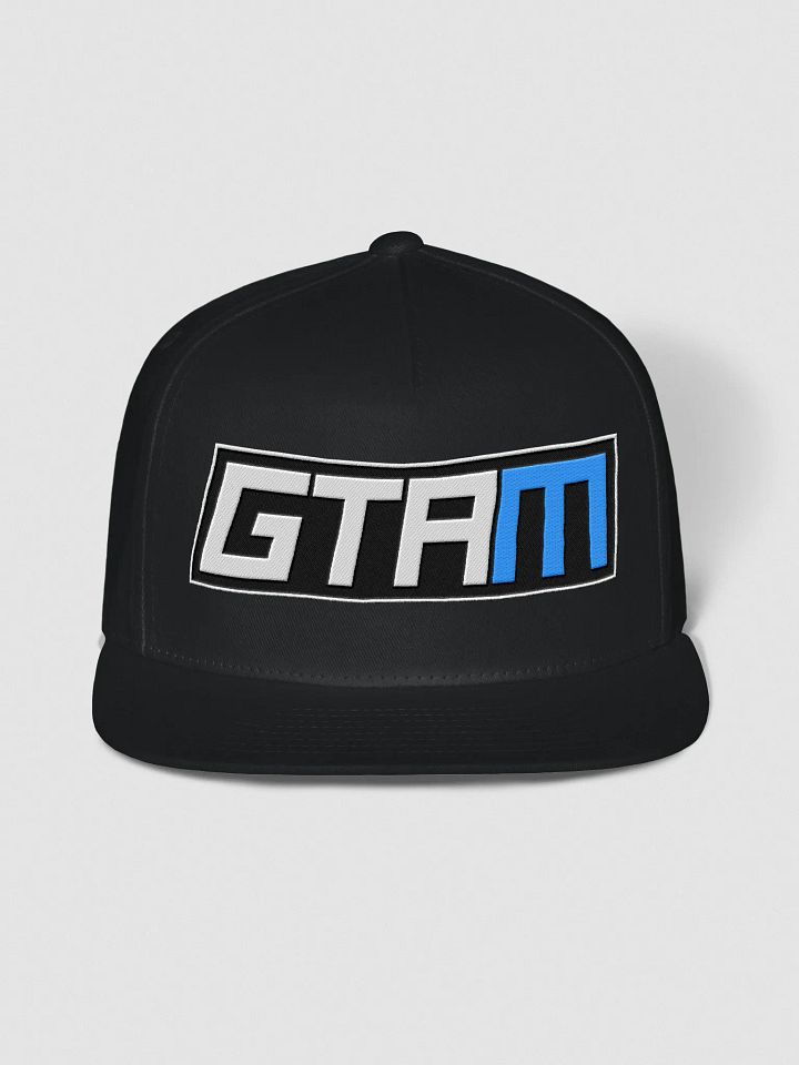 GTAM Snapback product image (2)