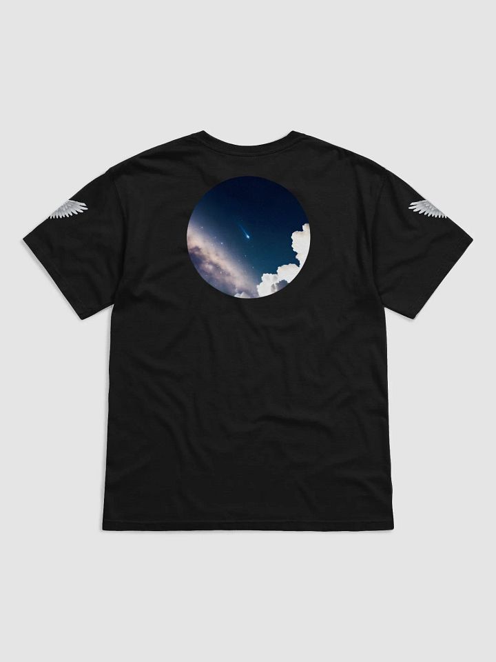DO IT ALL Wings Comfort Heavyweight T-Shirt product image (20)