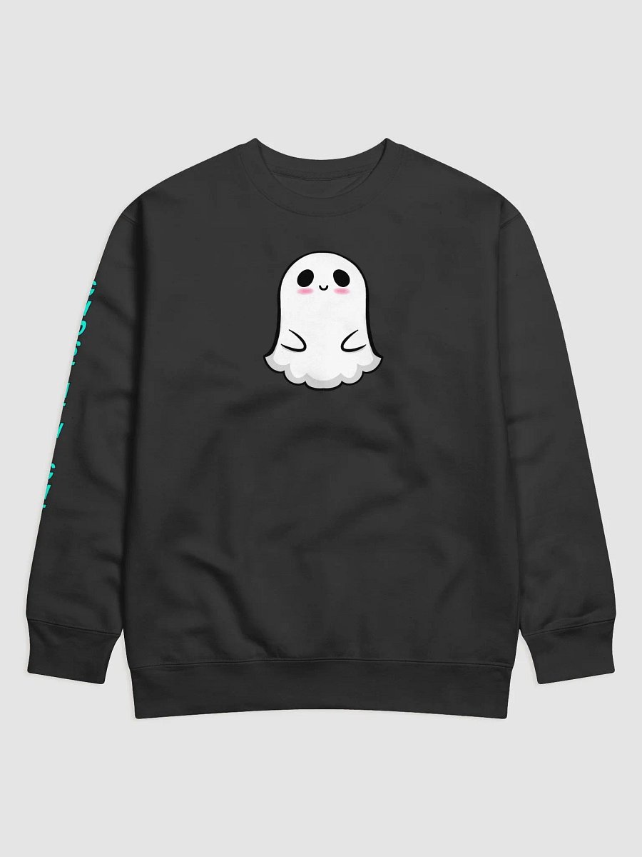 Sweatshirt product image (1)