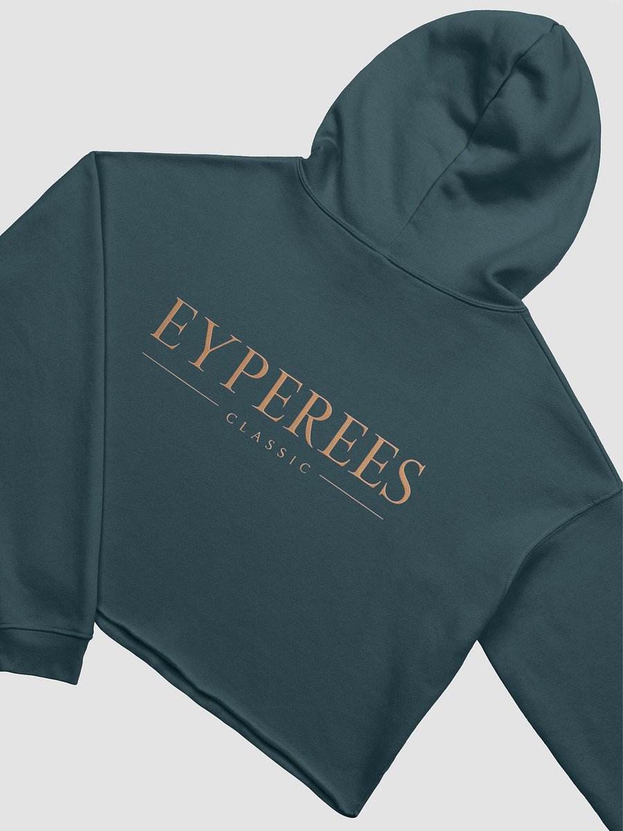 EYPEREES Classic Crop Hoodie product image (20)