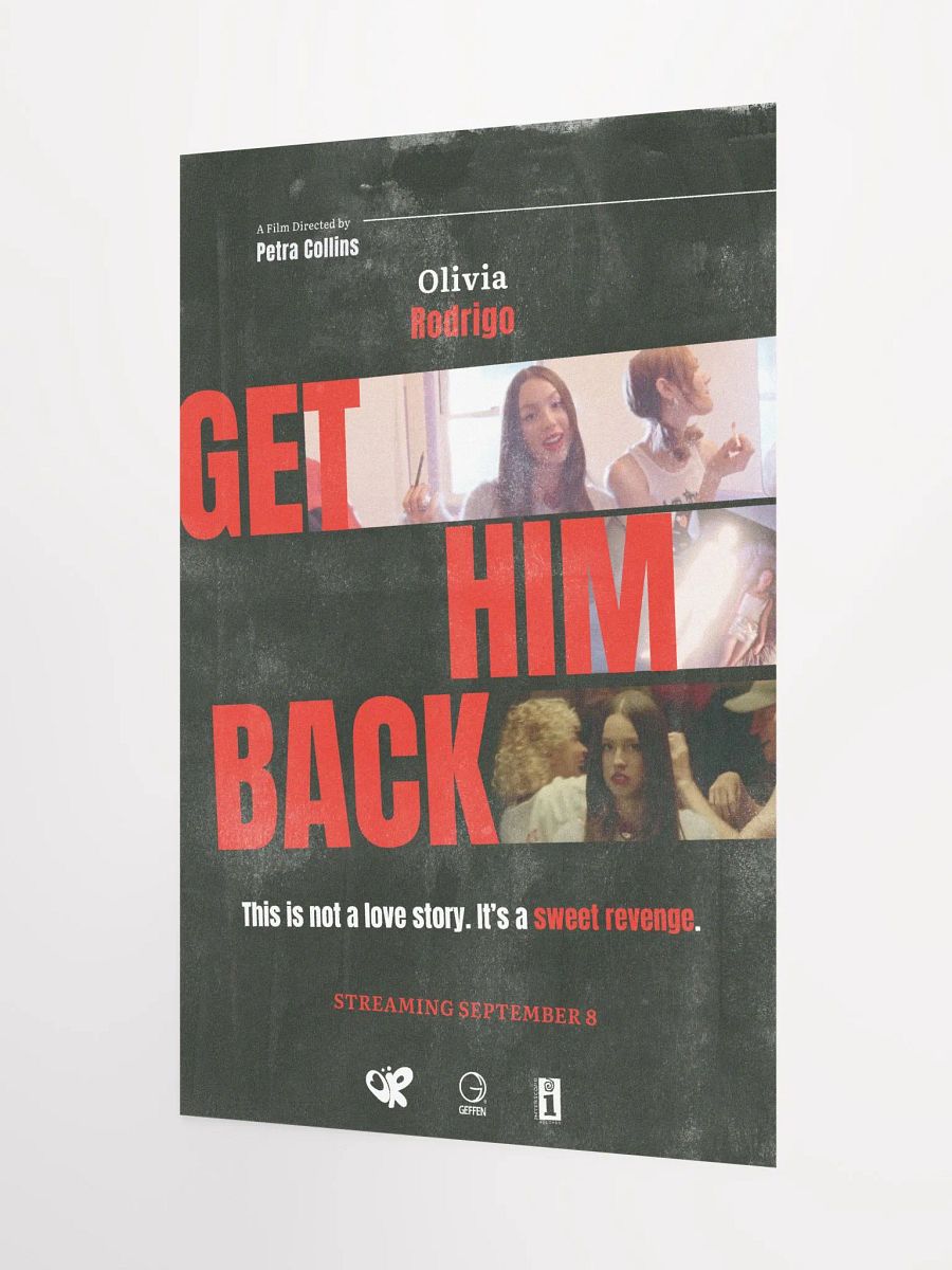 get him back! Poster product image (3)