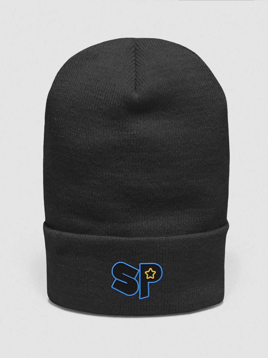 SP BEANIE product image (1)