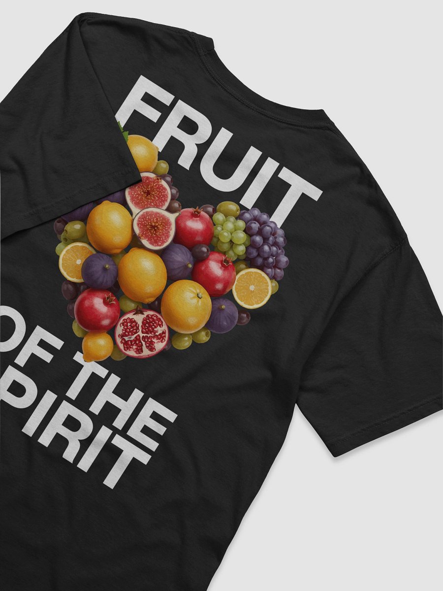 Fruit of the Spirit Heavyweight Tee (Black) product image (6)
