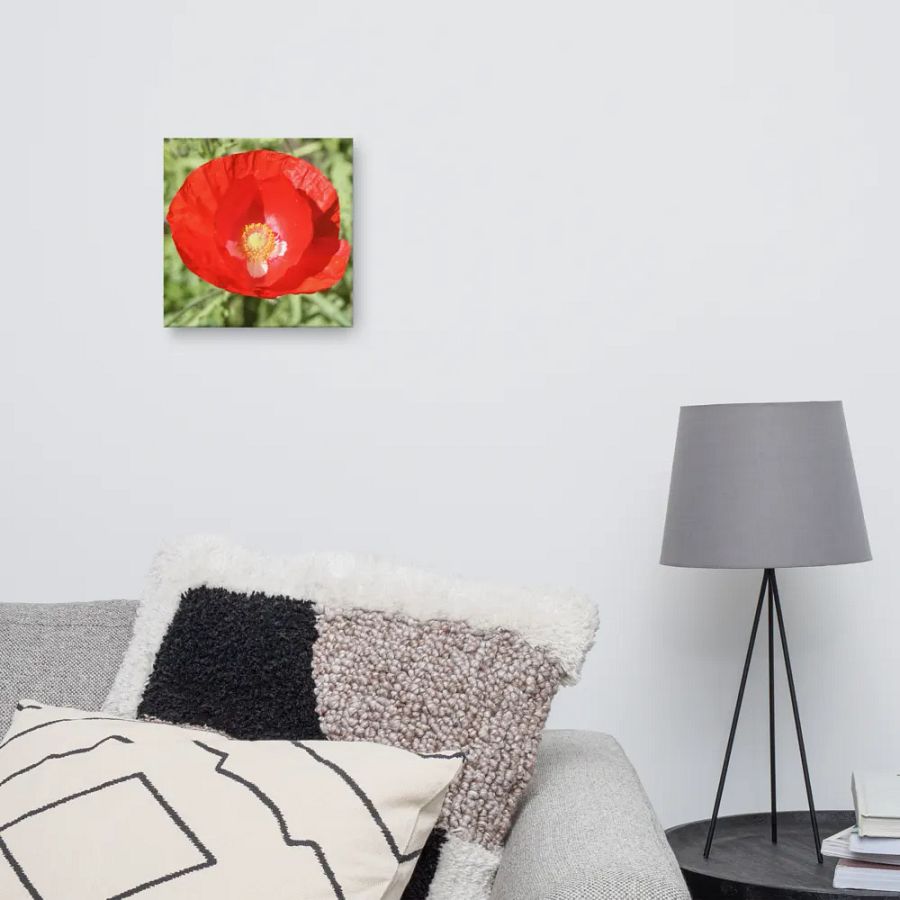 Red Poppy product image (10)